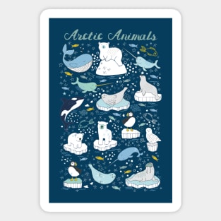 Arctic Animals - Cute arctic Animal design by Cecca Designs Magnet